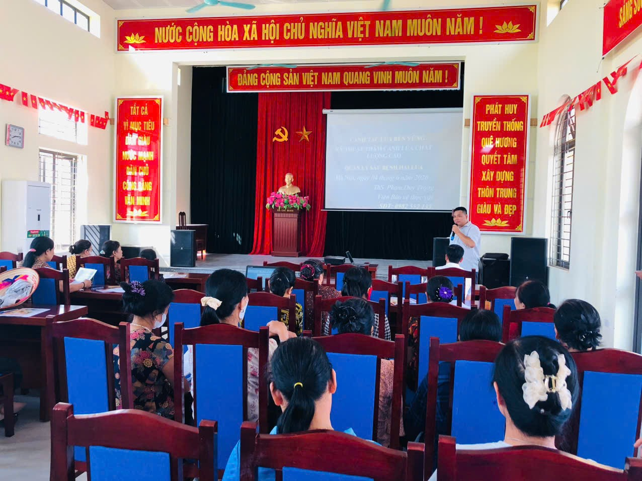 Hội Nông dân xã Hồng Sơn phối hợp Trung tâm Khuyến nông Hà Nội  tập huấn canh tác lúa bền vững và kỹ thuật thâm canh lúa chất lượng cao- Ảnh 2.