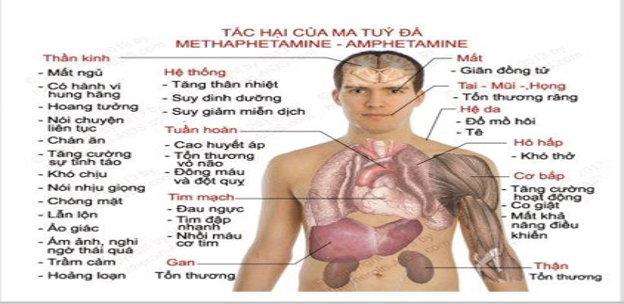 Bài tuyên truyền tác hại của ma túy và cách phòng chống- Ảnh 3.