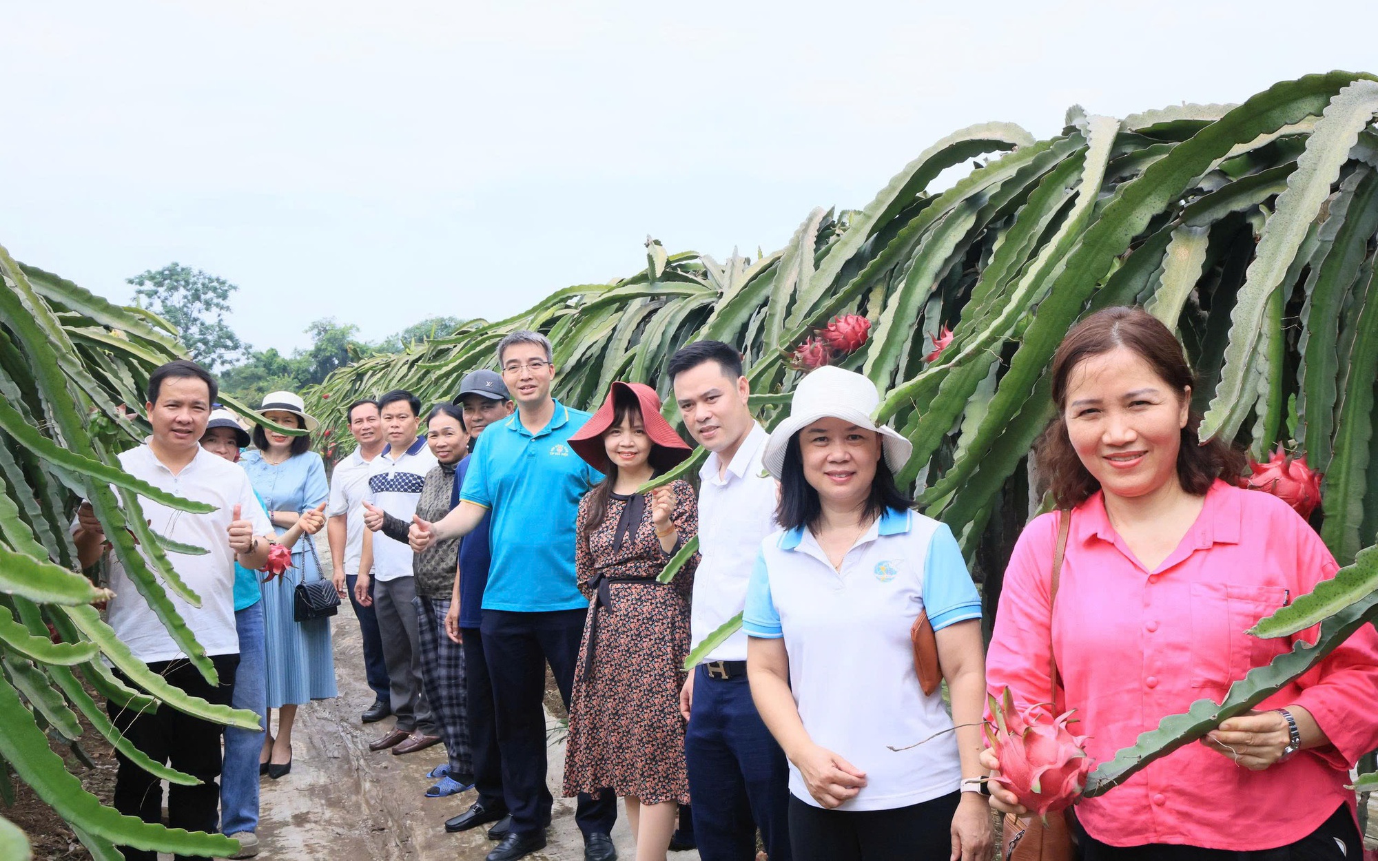 HỘI NÔNG DÂN THÀNH PHỐ HÀ NỘI TỔ CHỨC THĂM QUAN, HỌC TẬP MÔ HÌNH KINH TẾ TIÊU BIỂU TẠI XÃ THƯ LÂM