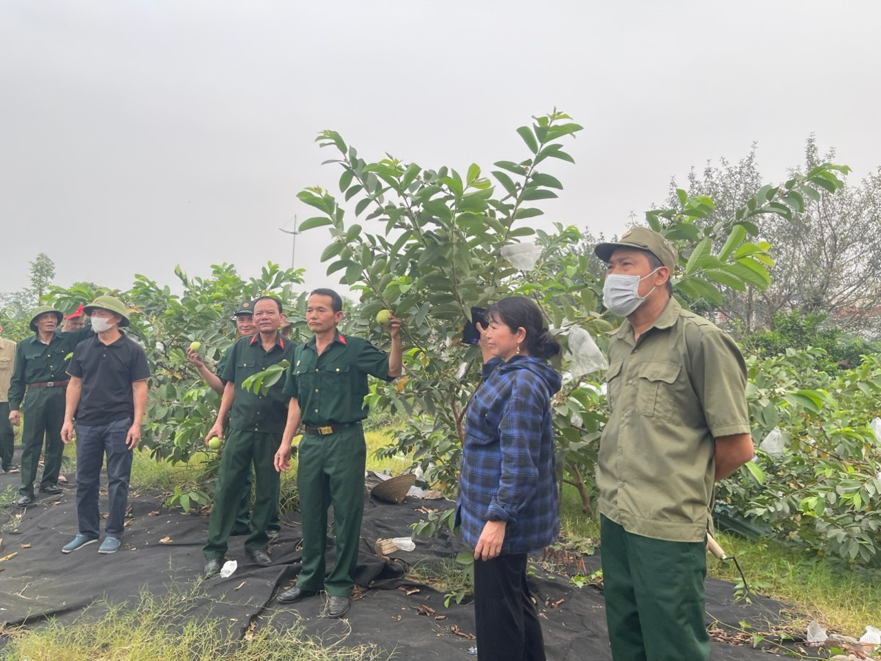 CCB xã Hoài Đức phát huy phẩm chất "bộ đội Cụ Hồ" trên mặt trận giảm nghèo và làm kinh tế giỏi giai đoạn 2021 - 2026- Ảnh 3.