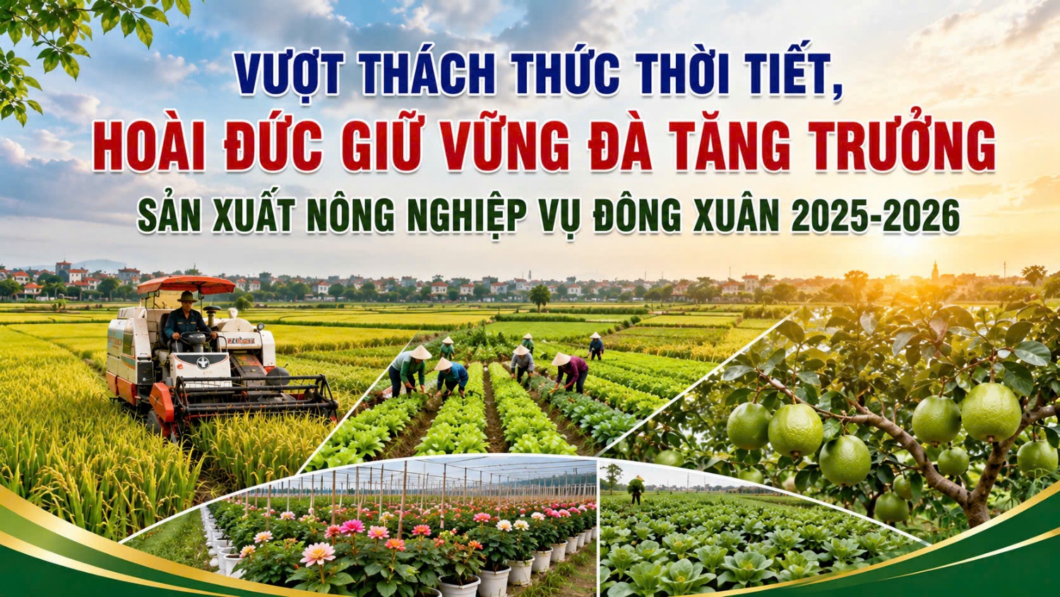 Vượt thách thức thời tiết, Hoài Đức giữ vững đà tăng trưởng sản xuất nông nghiệp vụ Đông Xuân 2025 - 2026- Ảnh 1.