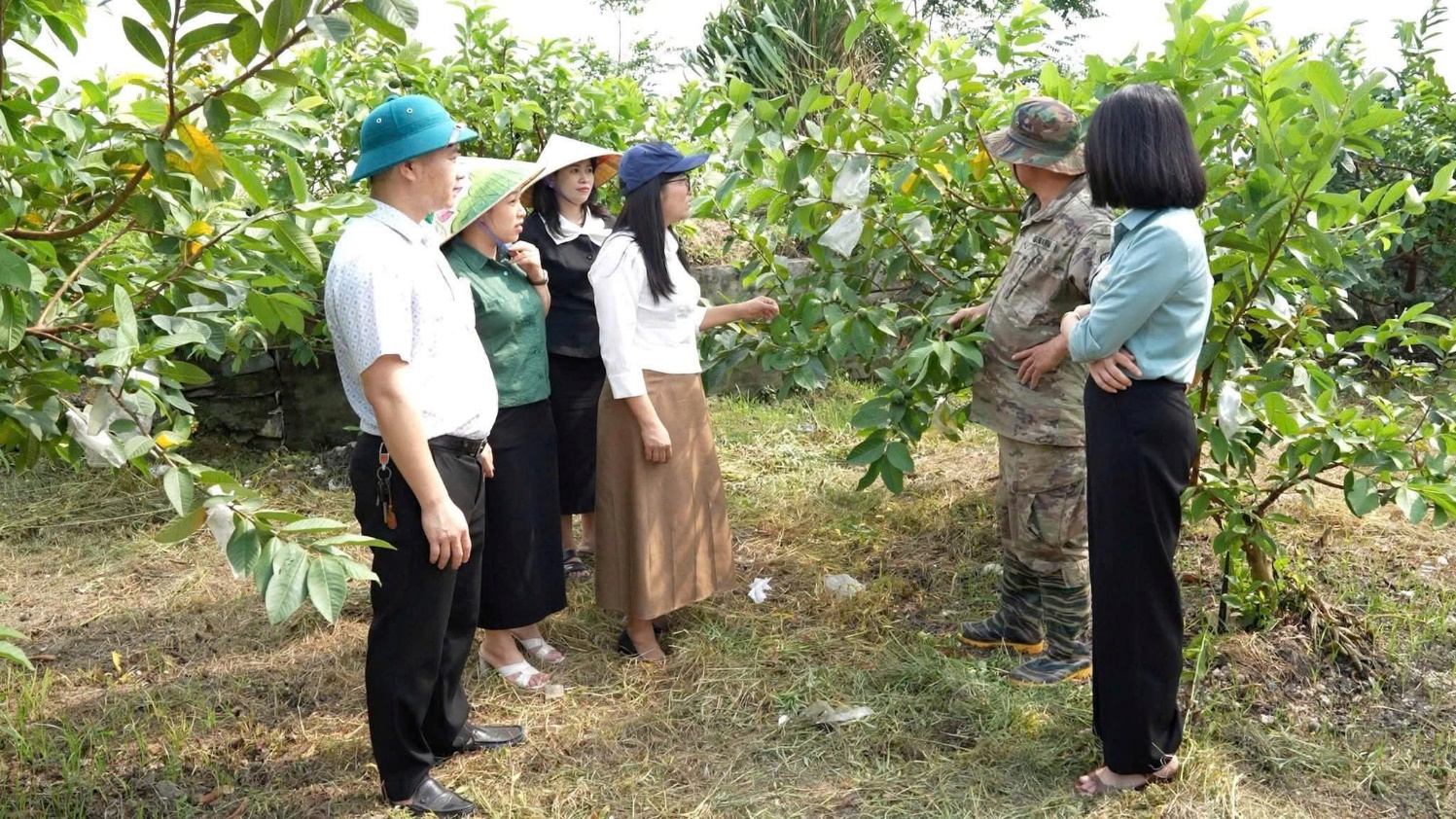 Vượt thách thức thời tiết, Hoài Đức giữ vững đà tăng trưởng sản xuất nông nghiệp vụ Đông Xuân 2025 - 2026- Ảnh 2.
