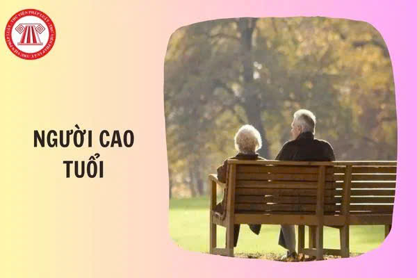 Chăm sóc sức khỏe người cao tuổi, hành động hôm nay, trọn vẹn nghĩa tình- Ảnh 1.
