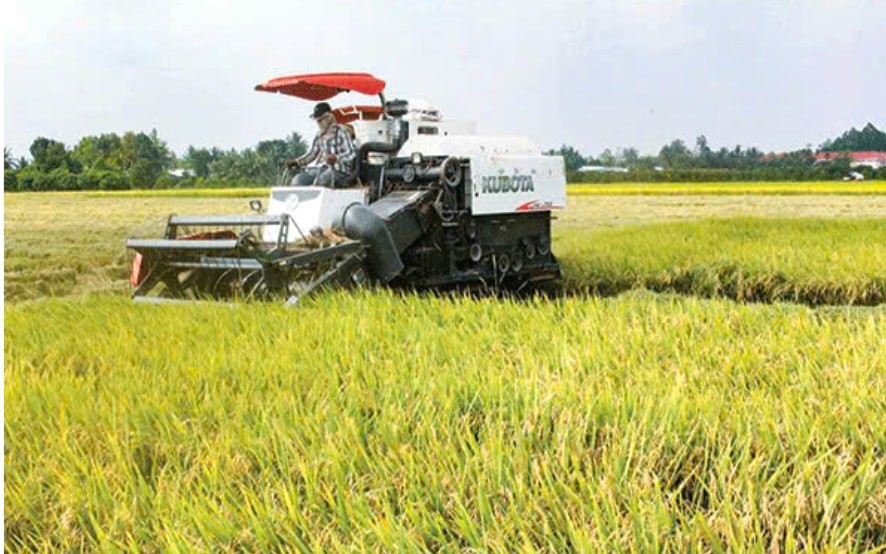Hợp tác xã nông nghiệp Phú Nghĩa “tiếp sức” cho nông dân trong sản xuất nông nghiệp