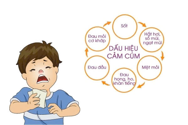Chủ động phòng chống bệnh cúm- Ảnh 2.