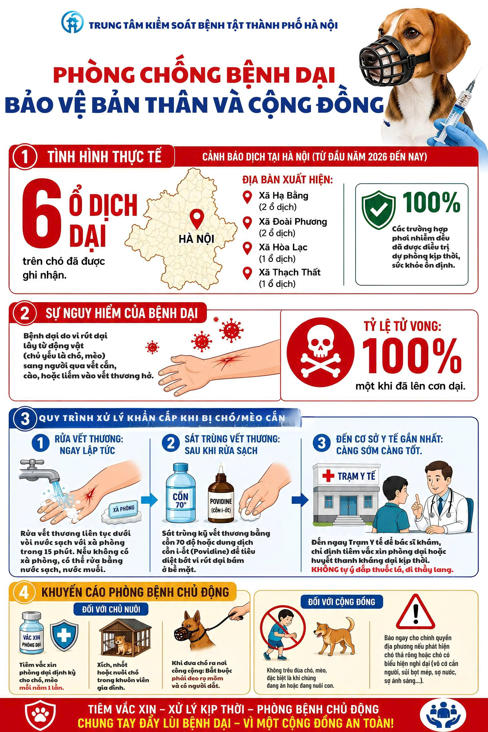 Phòng, chống bệnh dại - Bảo vệ bản thân và cộng đồng- Ảnh 1.