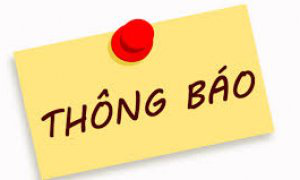 Bản đồ công khai quy hoạch Trung tâm xã và Điểm dân cư nông thôn xã Song Phượng tỷ lệ 1/500