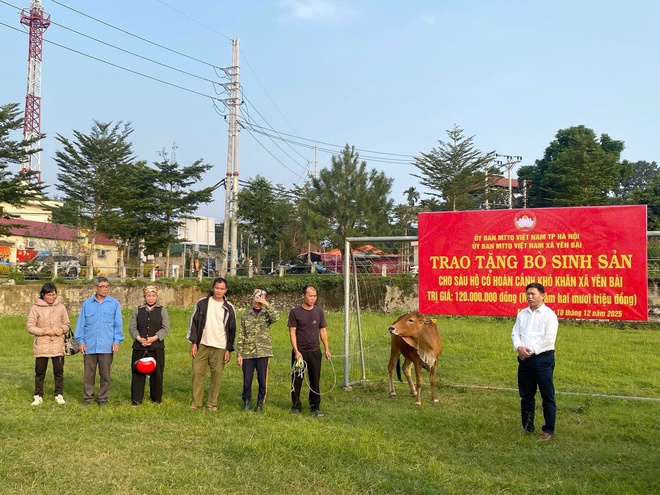 ỦY BAN MTTQ XÃ YÊN BÀI TRAO BÒ SINH SẢN CHO 6 HỘ CÓ HOÀN CẢNH KHÓ KHĂN- Ảnh 3.