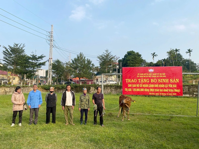 ỦY BAN MTTQ XÃ YÊN BÀI TRAO BÒ SINH SẢN CHO 6 HỘ CÓ HOÀN CẢNH KHÓ KHĂN- Ảnh 5.