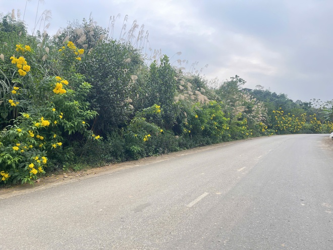 RA QUÂN TỔNG VỆ SINH – CHUNG TAY XÂY DỰNG QUÊ HƯƠNG  YÊN BÀI THÀNH VÙNG QUÊ ĐÁNG SỐNG - Ảnh 1.