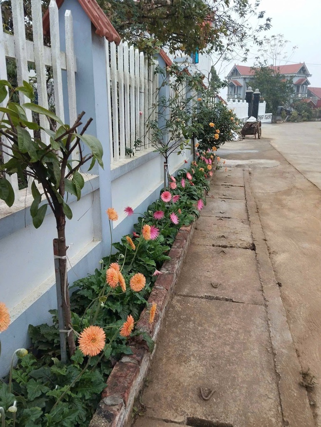 RA QUÂN TỔNG VỆ SINH – CHUNG TAY XÂY DỰNG QUÊ HƯƠNG  YÊN BÀI THÀNH VÙNG QUÊ ĐÁNG SỐNG - Ảnh 8.