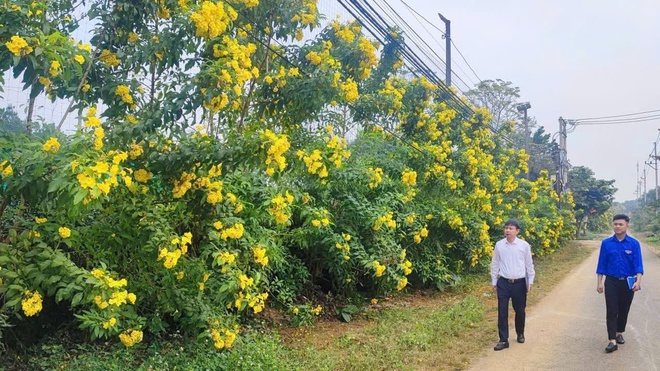 Xã Yên Bài thực hiện đánh giá phong trào " xây dựng và giữ gìn thôn, xóm, ngõ, sáng xanh - sạch - đẹp - an toàn- Ảnh 4.