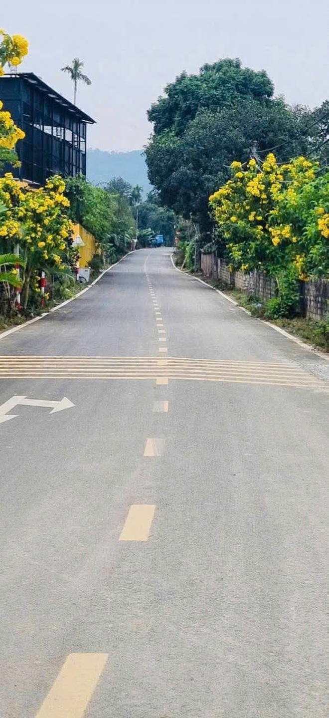 Xã Yên Bài thực hiện đánh giá phong trào " xây dựng và giữ gìn thôn, xóm, ngõ, sáng xanh - sạch - đẹp - an toàn- Ảnh 7.