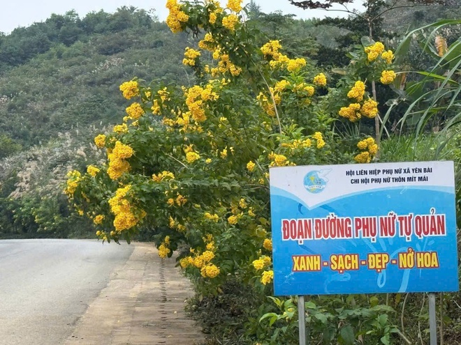 Xã Yên Bài thực hiện đánh giá phong trào " xây dựng và giữ gìn thôn, xóm, ngõ, sáng xanh - sạch - đẹp - an toàn- Ảnh 5.