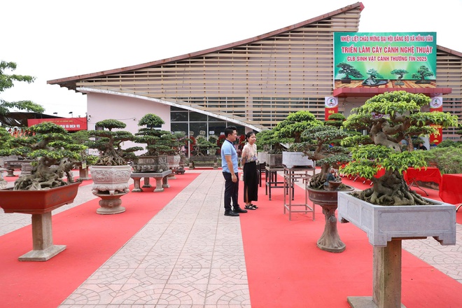 Đại hội thành lập Câu lạc bộ Sinh vật cảnh Thường Tín: Hội nhập và phát triển trong kỷ nguyên mới- Ảnh 6.