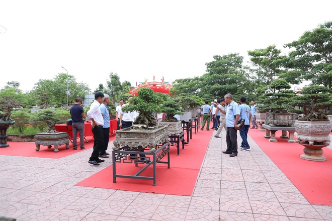 Đại hội thành lập Câu lạc bộ Sinh vật cảnh Thường Tín: Hội nhập và phát triển trong kỷ nguyên mới- Ảnh 5.