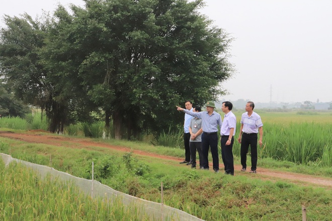Các đồng chí lãnh đạo xã Phú Nghĩa kiểm tra thực tế tình hình sản xuất nông nghiệp, công tác vệ sinh môi trường trên địa bàn- Ảnh 2.