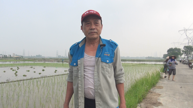 NÔNG DÂN XÃ THƯ LÂM TÍCH CỰC XUỐNG ĐỒNG GIEO CẤY VỤ MÙA- Ảnh 2.