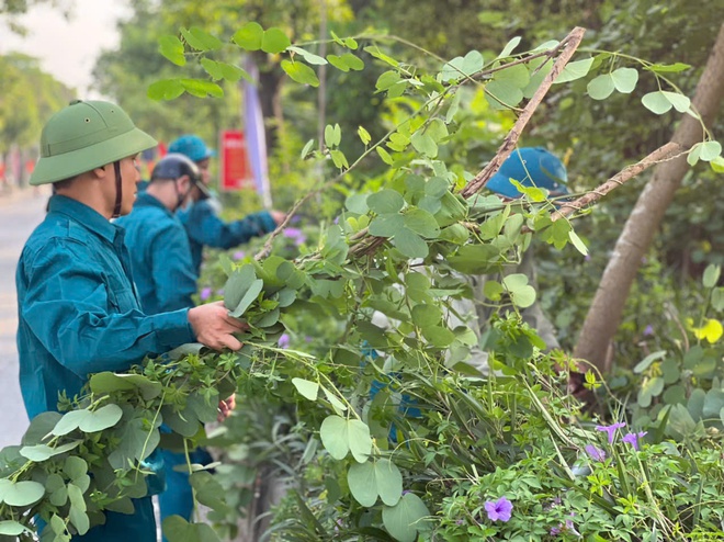 Ngọc Hồi trong không khí ra quân chỉnh trang hạ tầng đô thị, tổng vệ sinh môi trường- Ảnh 12.
