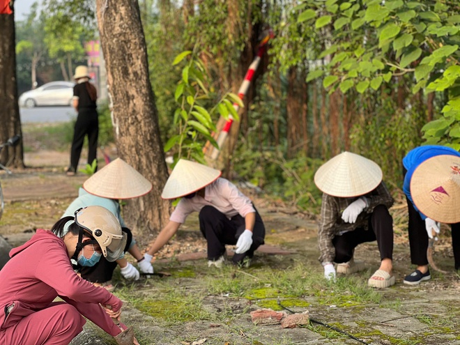 Ngọc Hồi trong không khí ra quân chỉnh trang hạ tầng đô thị, tổng vệ sinh môi trường- Ảnh 5.