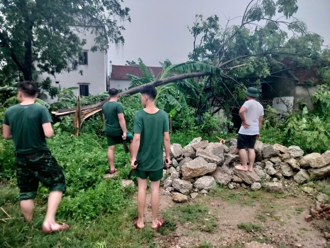 XÃ HÒA PHÚ KHẮC PHỤC KỊP THỜI SỰ CỐ CÂY ĐỔ SAU MƯA GIÔNG- Ảnh 1. XÃ HÒA PHÚ KHẮC PHỤC KỊP THỜI SỰ CỐ CÂY ĐỔ SAU MƯA GIÔNG- Ảnh 1.