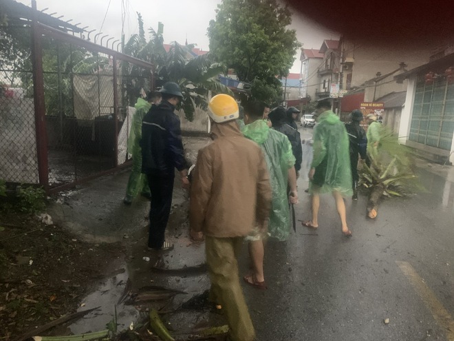 XÃ HÒA PHÚ KHẮC PHỤC KỊP THỜI SỰ CỐ CÂY ĐỔ SAU MƯA GIÔNG- Ảnh 2. XÃ HÒA PHÚ KHẮC PHỤC KỊP THỜI SỰ CỐ CÂY ĐỔ SAU MƯA GIÔNG- Ảnh 2.