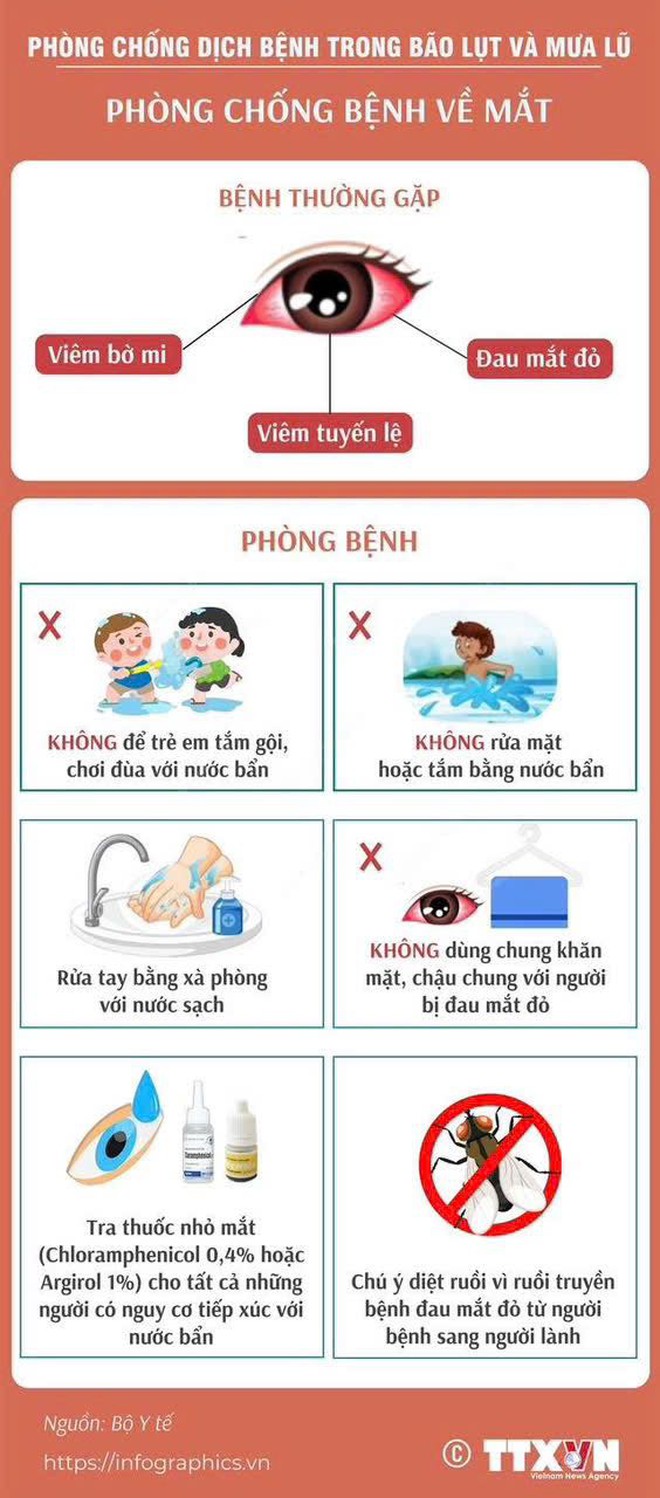 PHÒNG CHỐNG DỊCH BỆNH MÙA MƯA BÃO- Ảnh 5.