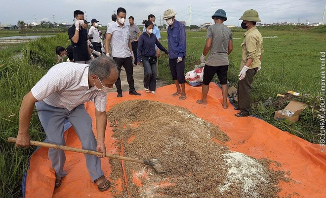 HTX nông nghiệp Ninh Sở (xã Hồng Vân) diệt chuột, bảo vệ lúa vụ mùa 2025.- Ảnh 3.