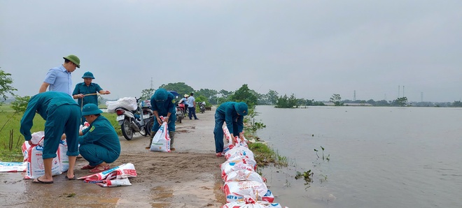 Xã Phú Nghĩa huy động lực lượng Dân quân tự vệ đắp chống tràn tuyến đê Bối tả Tích qua địa bàn thôn Quyết Hạ- Ảnh 7.