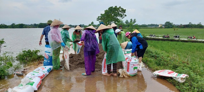 Phú Nghĩa tiếp tục huy động lực lượng Dân quân tự vệ và Nhân dân đắp bao tải chống tràn đoạn để Bối tả Tích thôn Quyết Hạ và đê tả Bùi đoạn thôn Trung Hoàng- Ảnh 6.