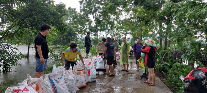Phú Nghĩa tiếp tục huy động lực lượng Dân quân tự vệ và Nhân dân đắp bao tải chống tràn đoạn để Bối tả Tích thôn Quyết Hạ và đê tả Bùi đoạn thôn Trung Hoàng- Ảnh 1.