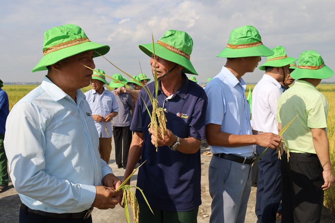 TRUNG TÂM KHUYẾN NÔNG HÀ NỘI TỔNG KẾT CÁC MÔ HÌNH ỨNG DỤNG MẠ KHAY, MÁY CẤY TRONG SẢN XUẤT QUY MÔ TẬP TRUNG VÀ TRÌNH DIỄN GIỐNG LÚA TBR97 VỤ MÙA NĂM 2025 TẠI XÃ CỔ ĐÔ.- Ảnh 3.