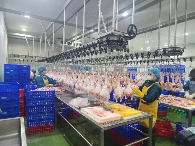 PHƯỜNG CẦU GIẤY TĂNG CƯỜNG CÔNG TÁC KIỂM TRA AN TOÀN THỰC PHẨM TẠI CÁC CƠ SỞ CUNG CẤP SUẤT ĂN CHO TRƯỜNG HỌC- Ảnh 2.