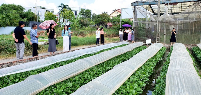 PHƯỜNG CẦU GIẤY TĂNG CƯỜNG CÔNG TÁC KIỂM TRA AN TOÀN THỰC PHẨM TẠI CÁC CƠ SỞ CUNG CẤP SUẤT ĂN CHO TRƯỜNG HỌC- Ảnh 9.