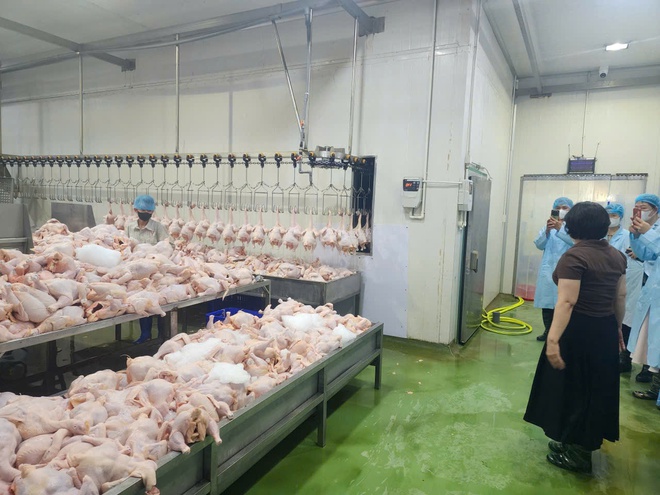 PHƯỜNG CẦU GIẤY TĂNG CƯỜNG CÔNG TÁC KIỂM TRA AN TOÀN THỰC PHẨM TẠI CÁC CƠ SỞ CUNG CẤP SUẤT ĂN CHO TRƯỜNG HỌC- Ảnh 10.