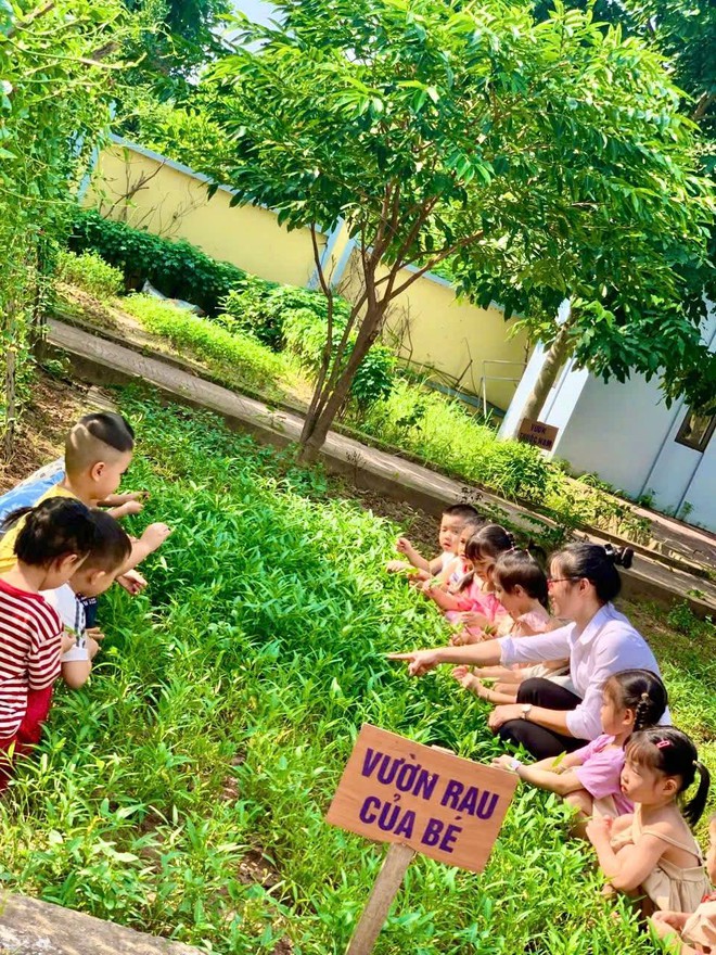 CÔ LƯƠNG THỊ XUYẾN – GIÁO VIÊN TRƯỜNG MẦM NON TẢN HỒNG XÃ CỔ ĐÔ, CÔ GIÁO YÊU NGHỀ, MẾN TRẺ. - Ảnh 2.