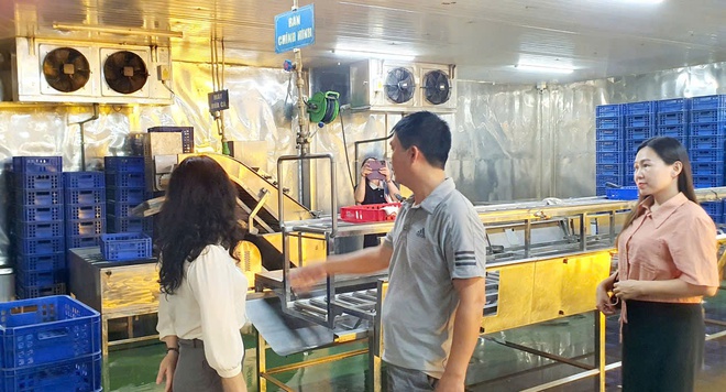 PHƯỜNG CẦU GIẤY TĂNG CƯỜNG CÔNG TÁC KIỂM TRA AN TOÀN THỰC PHẨM TẠI CÁC CƠ SỞ CUNG CẤP SUẤT ĂN CHO TRƯỜNG HỌC- Ảnh 6.