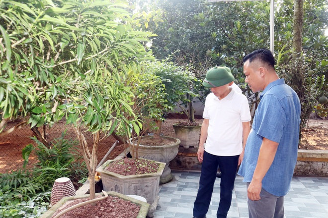 Xã Hòa Phú: Tăng cường kiểm tra, tuyên truyền phòng chống dịch bệnh sốt xuất huyết- Ảnh 5.