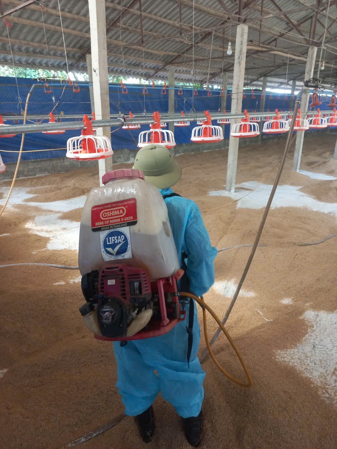 Phú Nghĩa triển khai vệ sinh môi trường phòng, chống bệnh dịch tả lợn Châu Phi và phòng, chống dịch bệnh gia súc, gia cầm sau mưa lũ trên địa bàn xã- Ảnh 2.