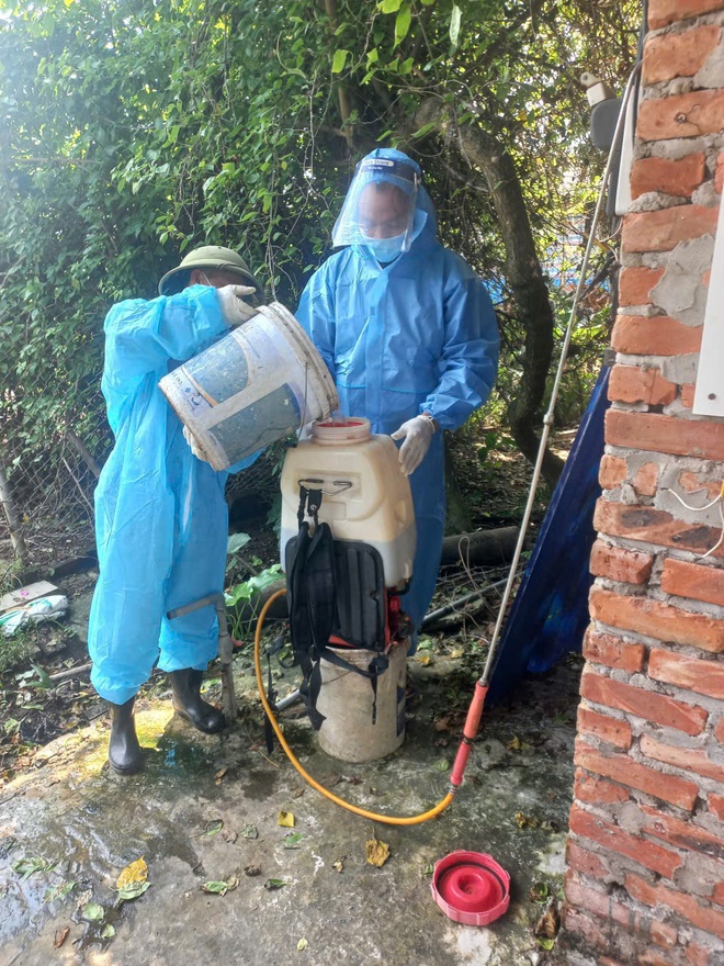 Phú Nghĩa triển khai vệ sinh môi trường phòng, chống bệnh dịch tả lợn Châu Phi và phòng, chống dịch bệnh gia súc, gia cầm sau mưa lũ trên địa bàn xã- Ảnh 4.