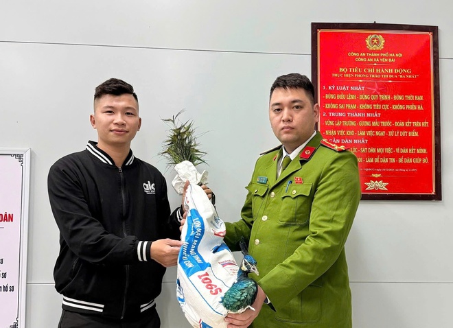 Công an xã Yên Bài, thành phố Hà Nội tiếp nhận cá thể động vật hoang dã quý, hiếm do người dân tự nguyện giao nộp- Ảnh 1.