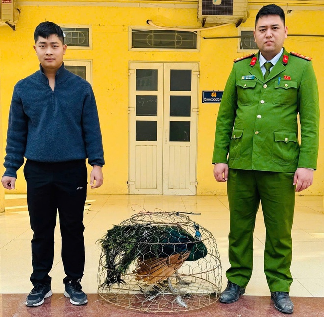 Công an xã Yên Bài, thành phố Hà Nội tiếp nhận cá thể động vật hoang dã quý, hiếm do người dân tự nguyện giao nộp- Ảnh 2.