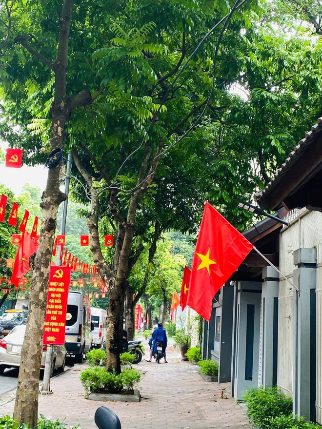 CẦU GIẤY RỰC RỠ CỜ HOA CHÀO MỪNG ĐẠI HỘI ĐẠI BIỂU TOÀN QUỐC LẦN THỨ XIV CỦA ĐẢNG- Ảnh 3.