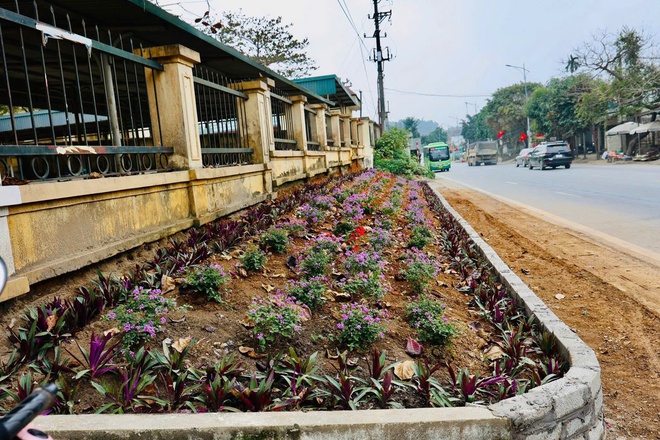 Ban chỉ đạo 197 xã Yên Bài giải toả thành công điểm nghẽn chợ tạm, đảm bảo an toàn giao thông khu vực trường THCS Yên Bài B- Ảnh 5.