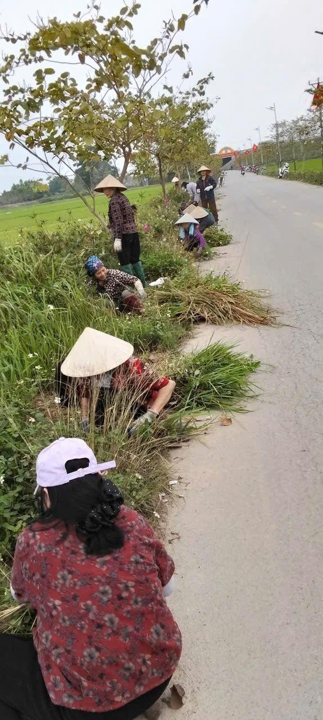 KHÍ THẾ RA QUÂN VỆ SINH MÔI TRƯỜNG ĐẦU XUÂN – LAN TỎA HÀNH ĐỘNG VÌ MÔI TRƯỜNG XANH, SẠCH, ĐẸP CỦA XÃ TRUNG GIÃ- Ảnh 15.