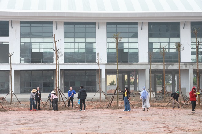 TRUNG GIÃ PHÁT ĐỘNG TẾT TRỒNG CÂY XUÂN BÍNH NGỌ 2026: CHUNG TAY XÂY DỰNG MÔI TRƯỜNG XANH – PHÁT TRIỂN BỀN VỮNG- Ảnh 5.