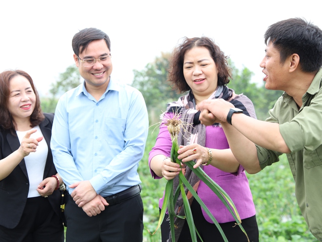 ĐOÀN LÃNH ĐẠO XÃ CỔ ĐÔ THAM QUAN MỘT SỐ MÔ HÌNH SẢN XUẤT NÔNG NGHIỆP TRÊN ĐỊA BÀN- Ảnh 2.