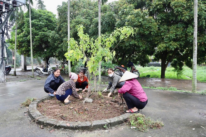 Thôn Duyên Trường hưởng ứng “Tết trồng cây đời đời nhớ ơn Bác Hồ” - Ảnh 4.