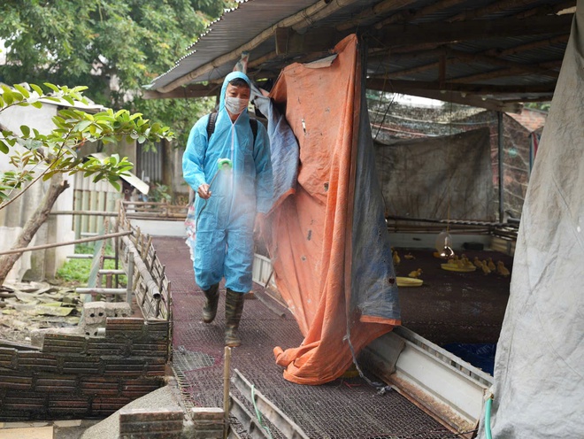 Xã Hồng Vân vệ sinh, khử trùng, tiêu độc môi trường phòng chống dịch bệnh cho gia súc gia cầm- Ảnh 4.