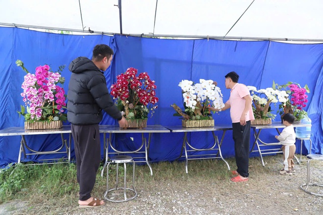 Xã Hồng Vân tổ chức chợ hoa xuân phục vụ tết nguyên đán bính ngọ 2026- Ảnh 6.